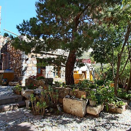 Apartament Casa Curtos Catorce Pokój zdjęcie