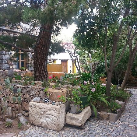 Apartament Casa Curtos Catorce Pokój zdjęcie