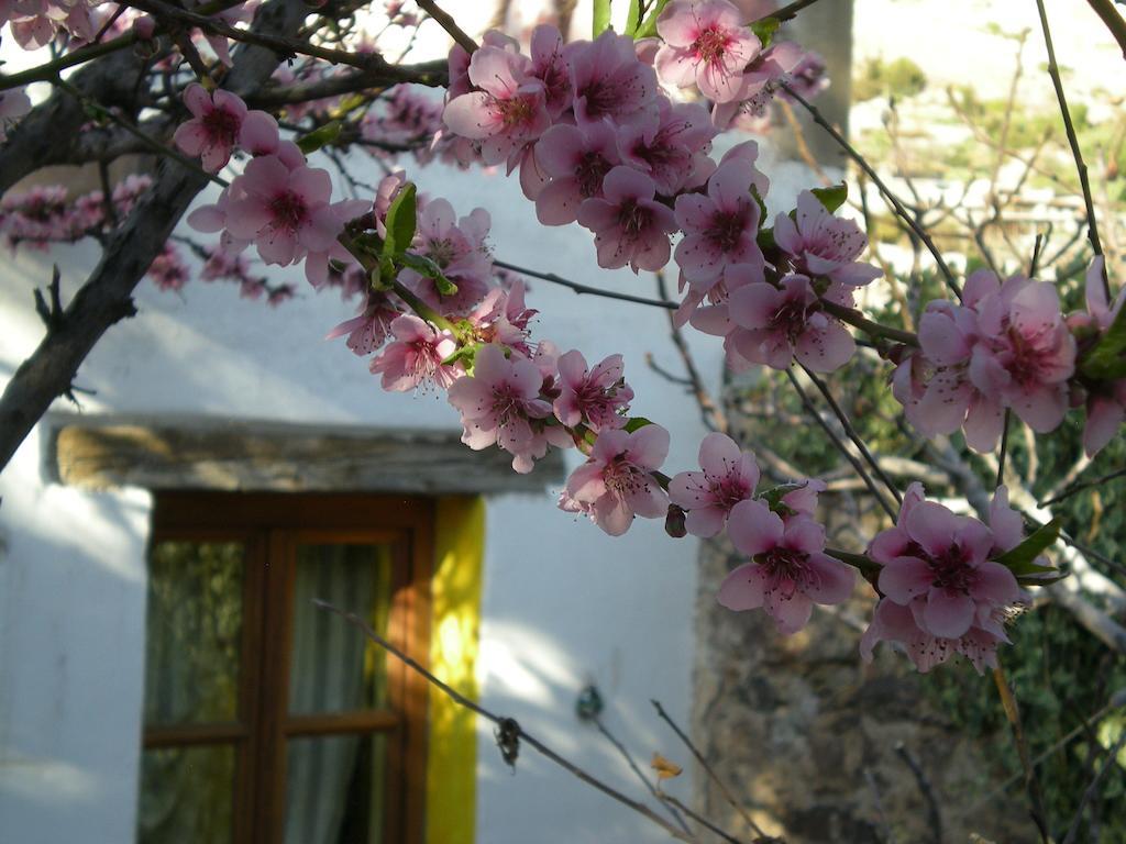 Apartament Casa Curtos Catorce Pokój zdjęcie